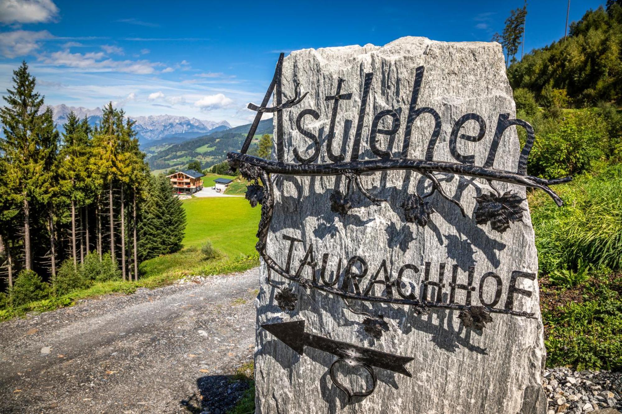 阿尔班多夫Taurachhof Astlehen公寓 外观 照片